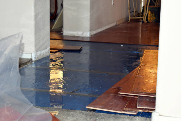 Professional Basement Flood Cleanup technician working in Midland, TX